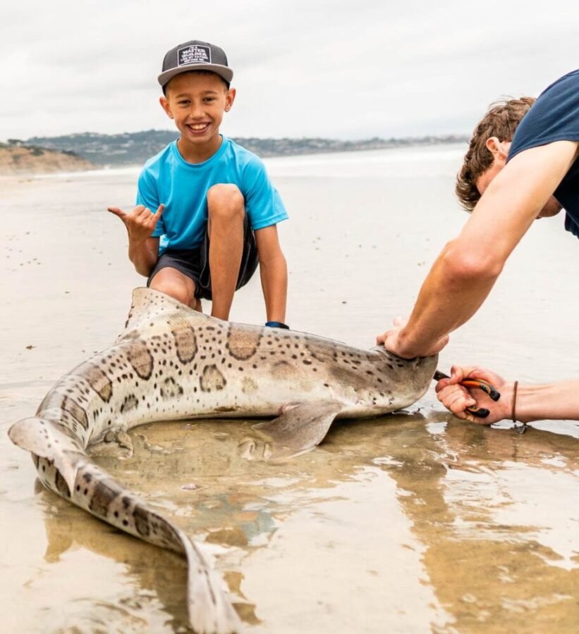 san diego surf fishing