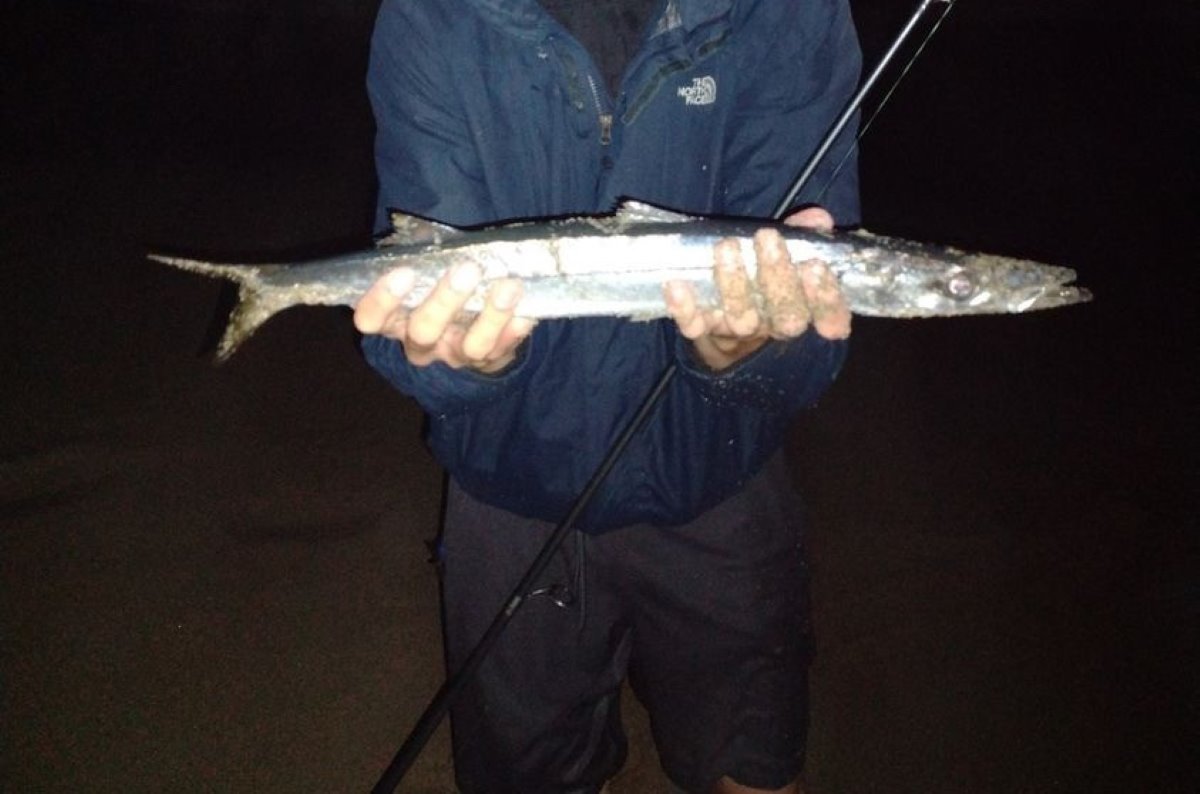 Grunion Run Fishing: Unlock The Secrets To Success