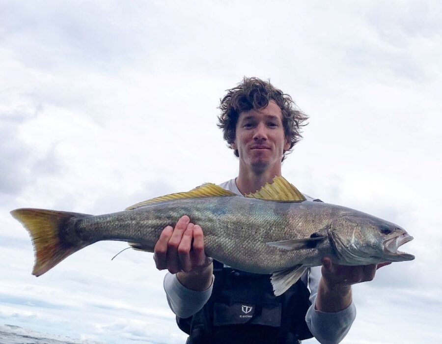 white seabass surf fishing after a grunion run