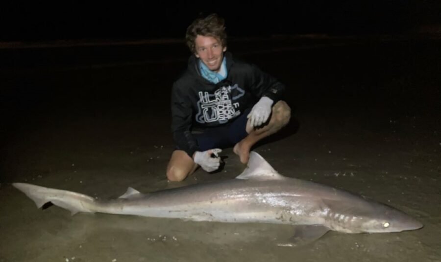 surf fishing for sharks and rays at night