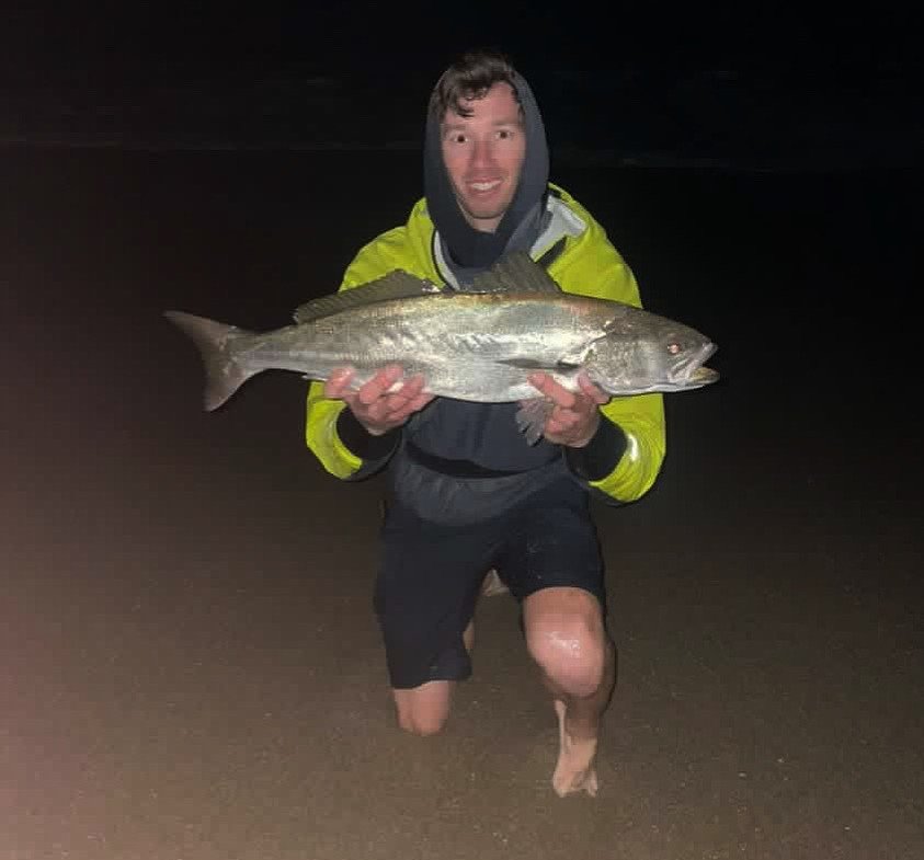 white seabass caught during a grunion run