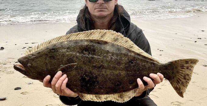 surf fisherman holding a halibut