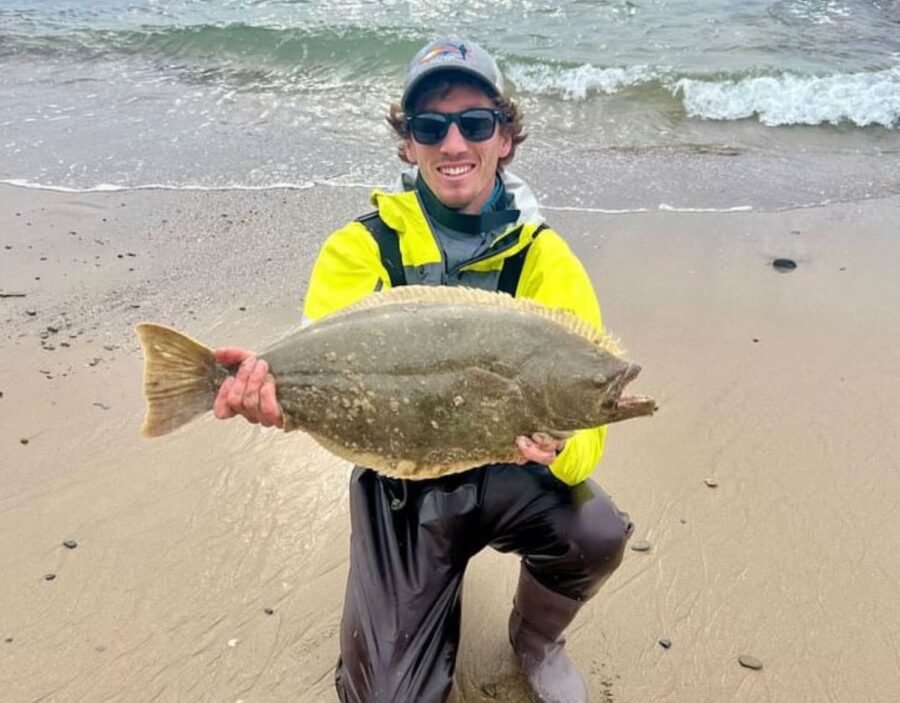 26 inch halibut caught by surf fisherman