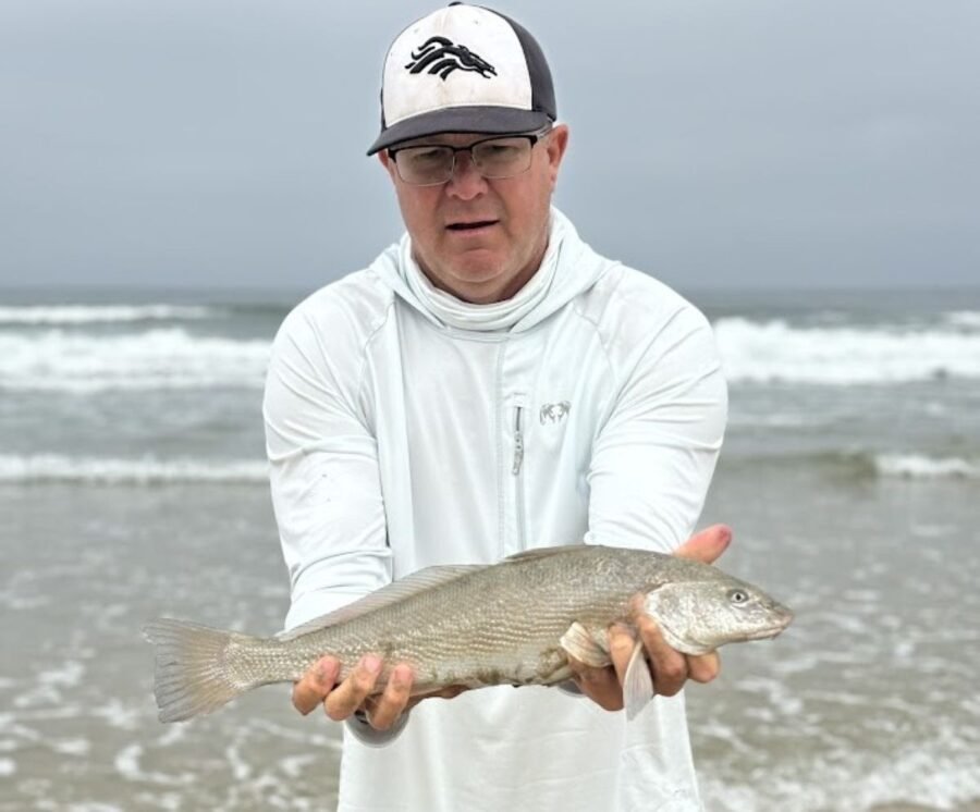 sight casting for corbina