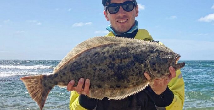 halibut surf fishing