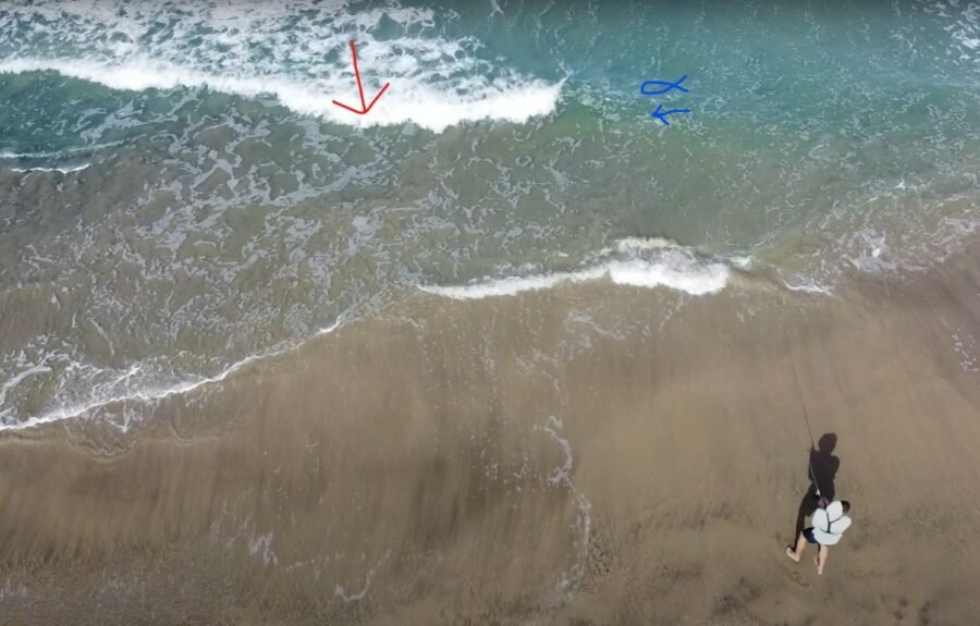 corbina sight casting placement and timing