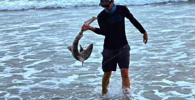 man holding shark at the beach