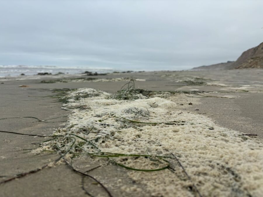 sea foam after a red tide