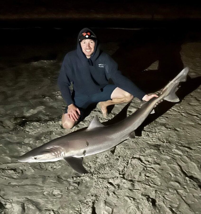 soupfin shark fishing from the beach