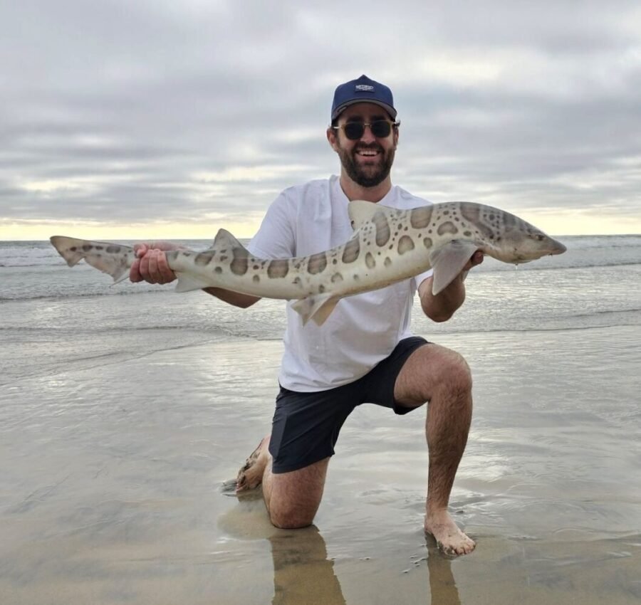 Leopard Shark Fishing