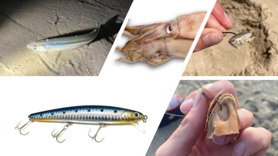 best baits for striped bass surf fishing