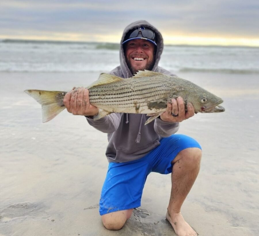 striped bass surf fishing