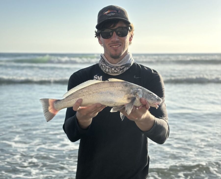 evening surf fishing for corbina