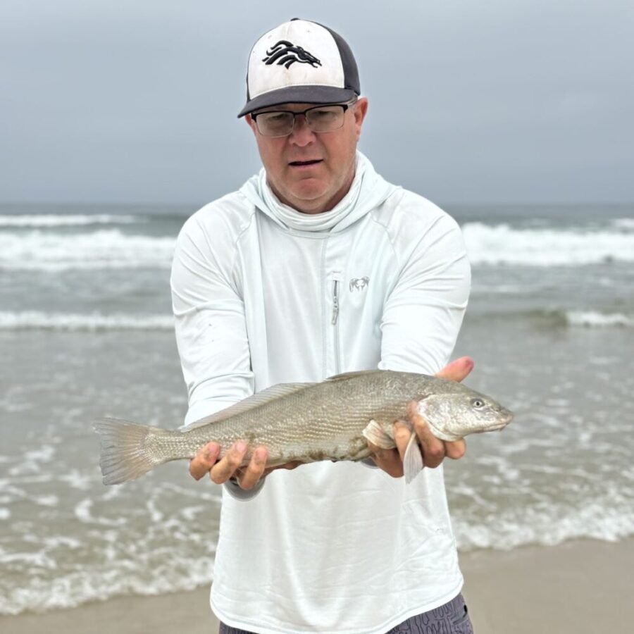 summer surf fishing for corbina