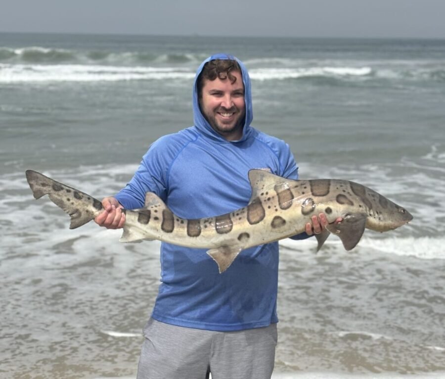 carlsbad surf fishing for leopard sharks