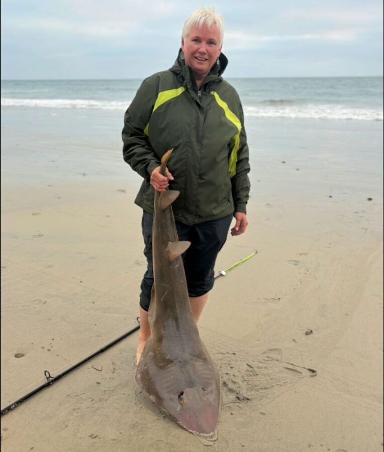 guitarfish surf fishing