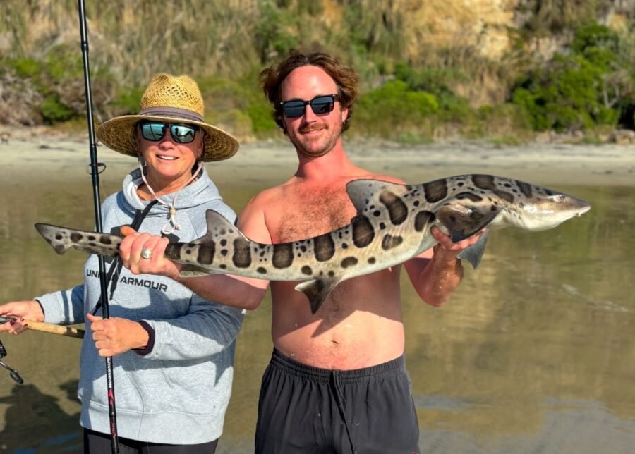 leopard shark shore fishing