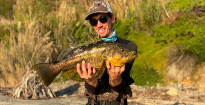 reef fishing san diego so cal