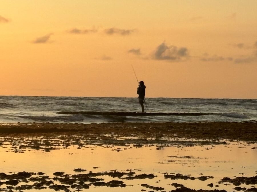 reef surf fishing