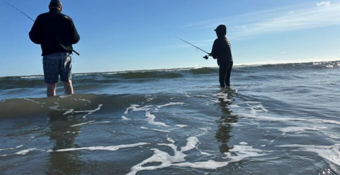 toxic algae bloom san diego surf fishing