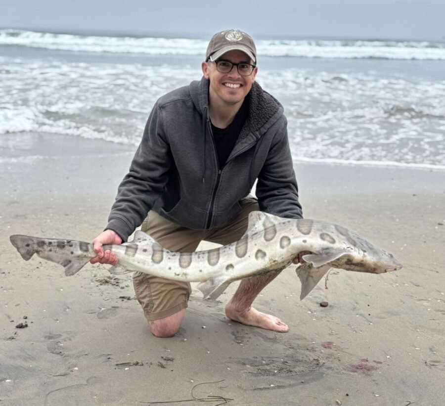 leopard shark fishing surf fishing report