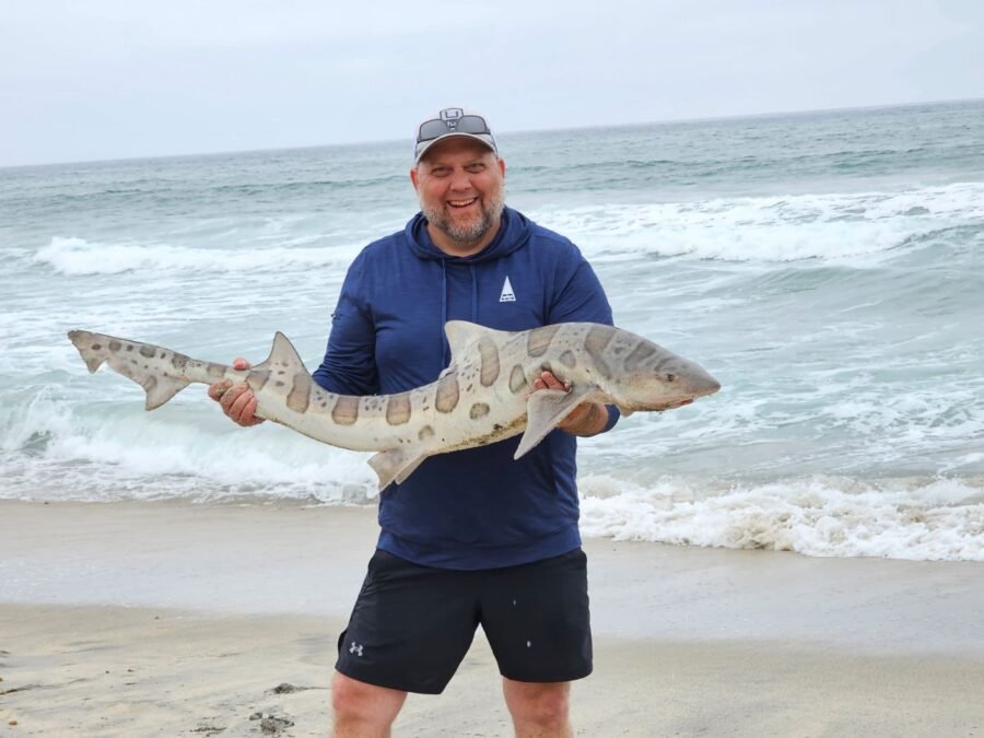 leopard shark fishing san diego