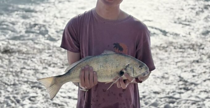 spotfin croaker surf fishing report