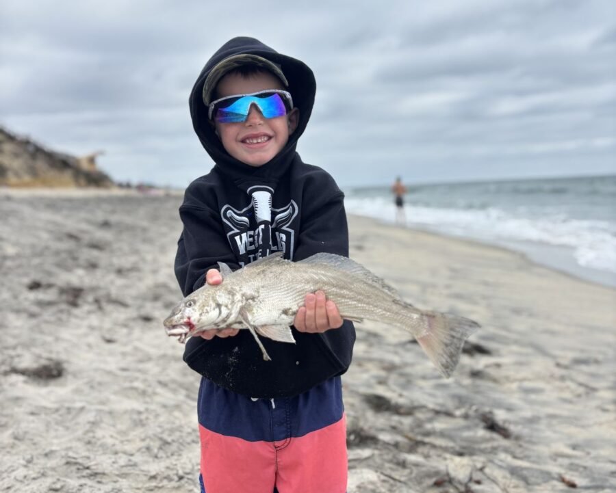 corbina surf fishing in August