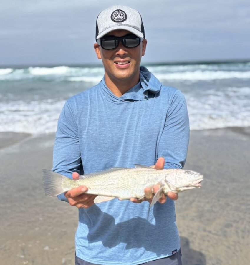 corbina fishing