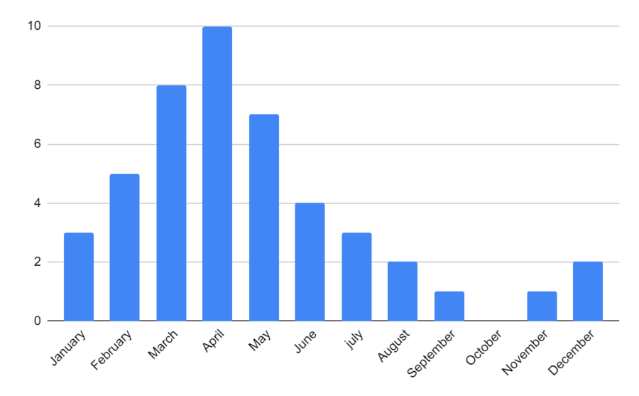 surfperch fishing peak season