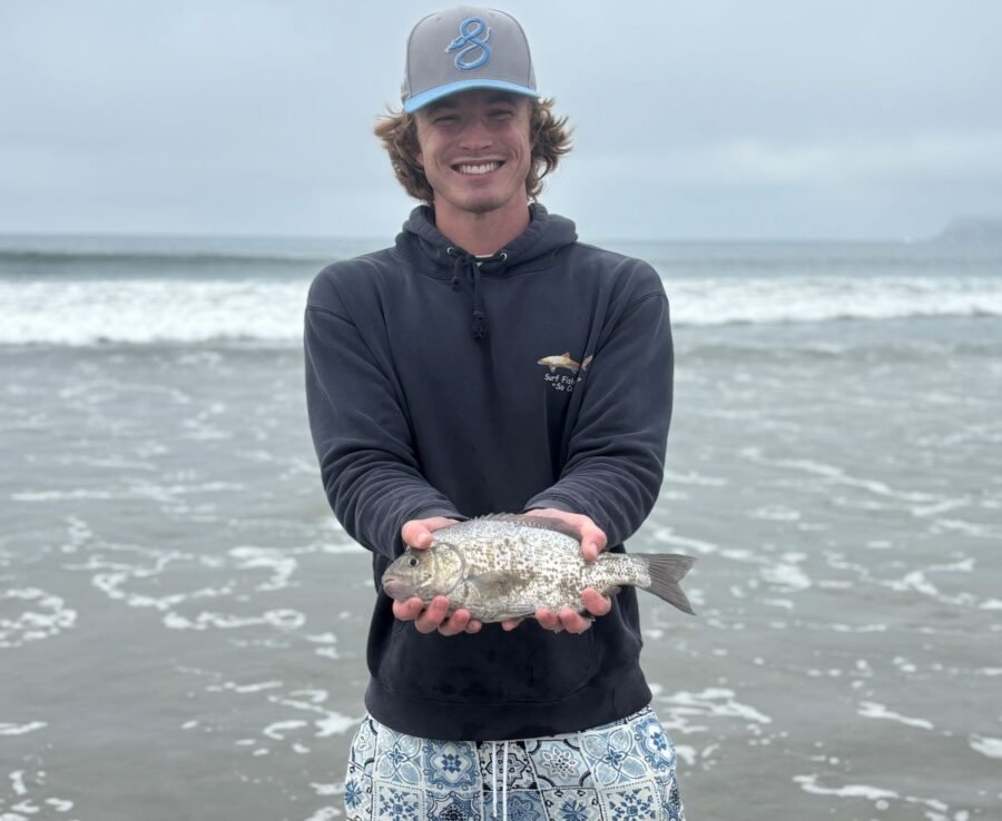 Surf Fishing Report - surfperch fishing