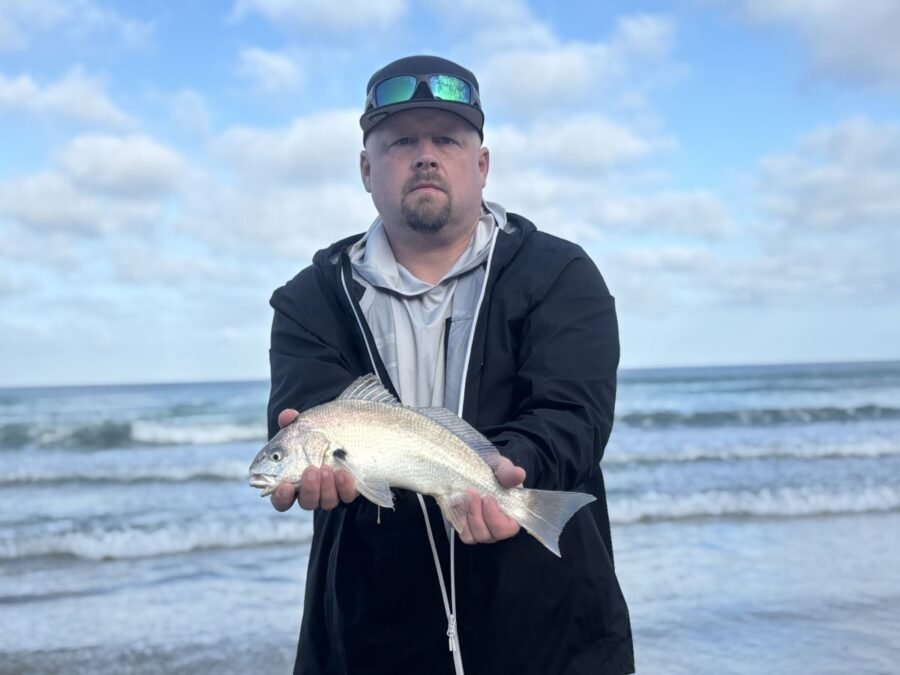 spotfin croaker surf fishing - may surf fishing report