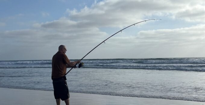 June surf fishing report - shark fishing