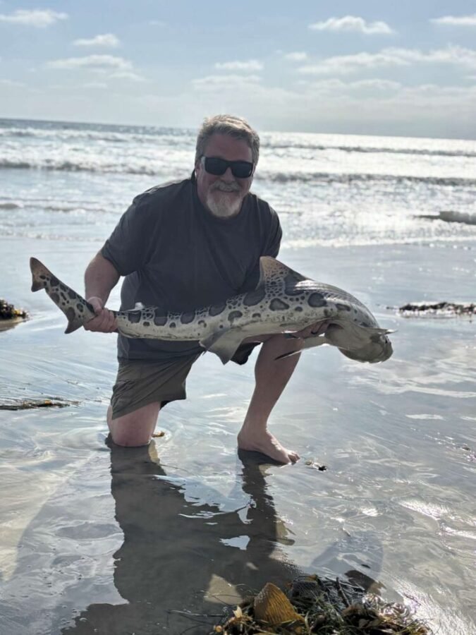 June surf fishing report - leopard shark