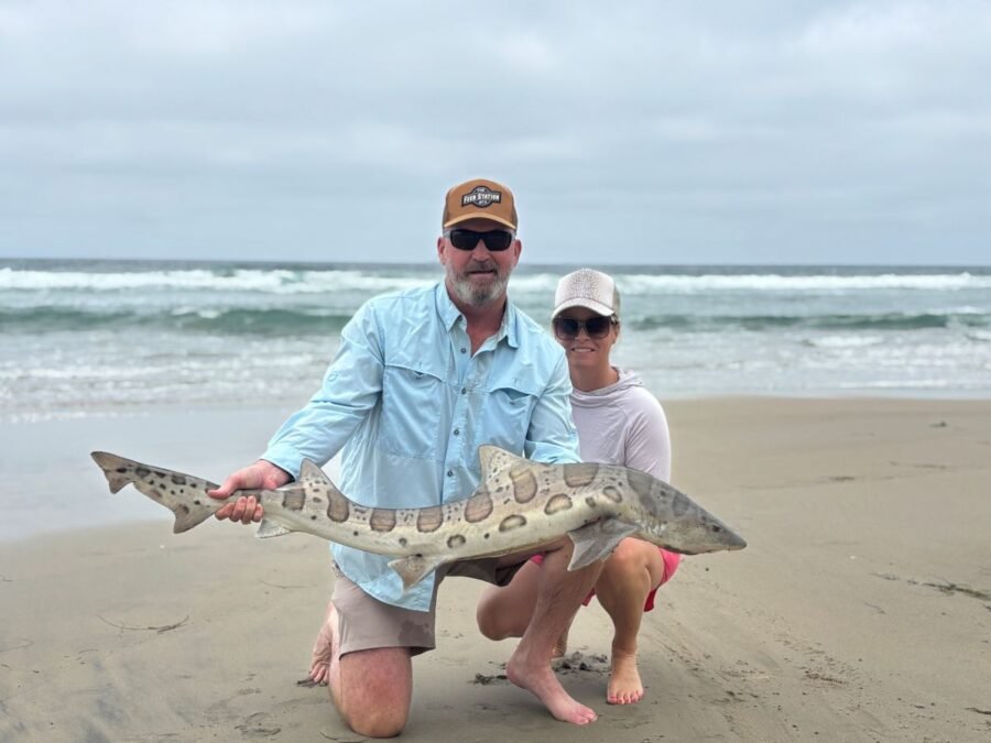leopard shark fishing