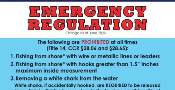 california wire leader ban
