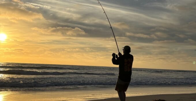 wire leader shark fishing ban