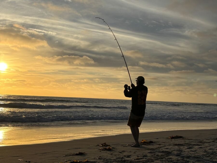 wire leader shark fishing ban