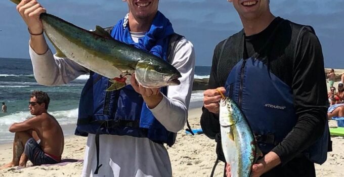 surf fishing in warm water - yellowtail warm water surf fishing